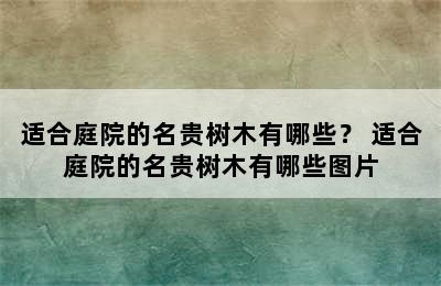 适合庭院的名贵树木有哪些？ 适合庭院的名贵树木有哪些图片